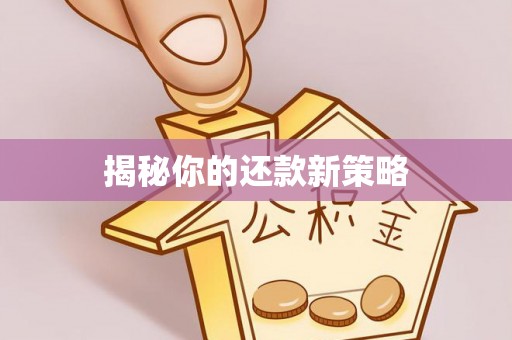 蔚县揭秘你的还款新策略