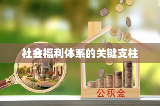 蔚县社会福利体系的关键支柱