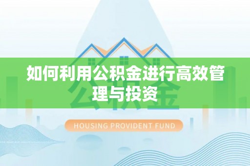蔚县如何利用公积金进行高效管理与投资
