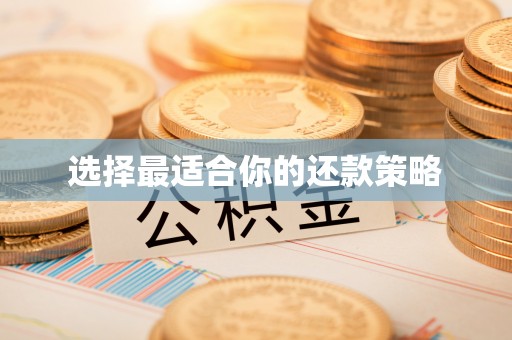 蔚县选择最适合你的还款策略
